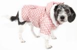 Polka-Dot Couture-Bow Pet Hoodie Sweater