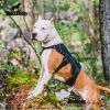 Multi-Use Support Dog Harness, Hiking and Trail Running, Service and Working, Everyday Wear-black XH